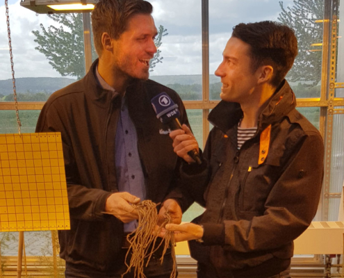 Interview, Arne Garlipp, Das Erste, ARD, WDR, zur Züchtung von resistenten Spagelpflanzen