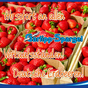 Ab sofort sind unsere leckeren deutschen frischen Erdbeeren an all unseren Spargelverkaufsständen erhältich!