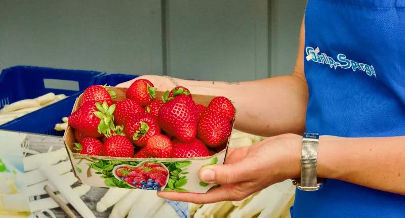 Frische deutsche Erdbeeren an allen Garlipp-Spargel Verkaufsständen ab sofort erhältlich!
