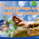 Schatzsuche Nummer vier ist ausgelost! Für die morgen stattfindende Schatzsuche (an allen Garlipp-Spargelverkaufsständen) wird immer zuerst der Spargelverkaufsstand ausgelost, an dem die Schatzsuche stattfinden wird. Warum? Wir möchten natürlich vor Ort sein, damit wir die Freude unseres Kunden miterleben. Er wird zum Glücksbringer und wählt dann seinen Lieblingsverein aus, dem Garlipp-Spargel dann 1.000,- Euro spendet.