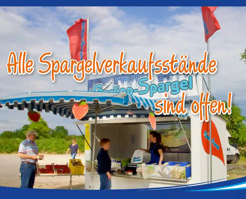 2026 bei Garlipp-Spargel: Alle Spargelverkaufsstände sind ab heute für Sie geöffnet.