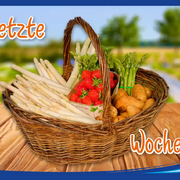 Letzte Woche Spargelverkauf bei Garlipp-Spargel 2026. Weißer und grüner Spargel sowie frische Kartoffeln und Erdbeeren sind noch bis zum 27.6.2026 zu haben.